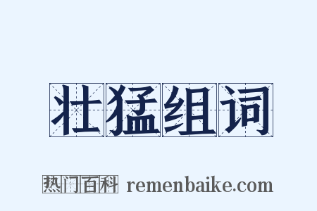 壮猛组词是什么意思的图片